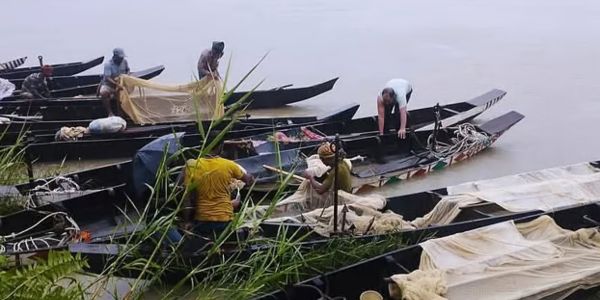 হালদায় পুরোদমে ডিম ছেড়েছে মা মাছ